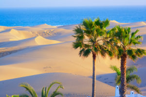 Sanddünen von Maspalomas, Gran Canaria, Kanarische Inseln, Spanien Sanddünen von Maspalomas, Gran Canaria, Kanarische Inseln, Spanien